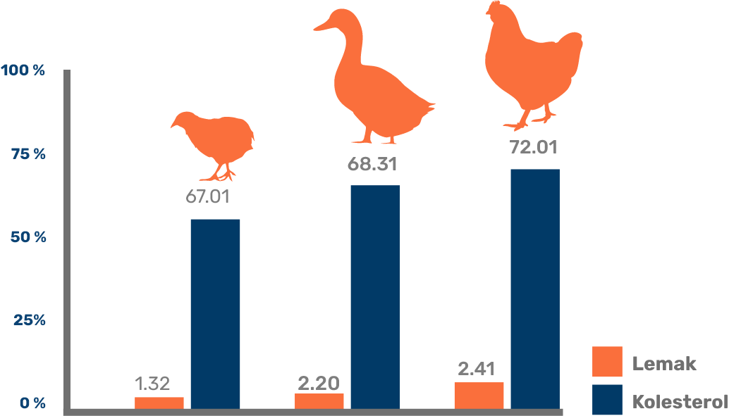 Grafik Kandungan
