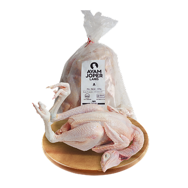 Ayam Joper Laris A