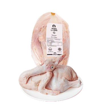 Bebek Peking Laris G