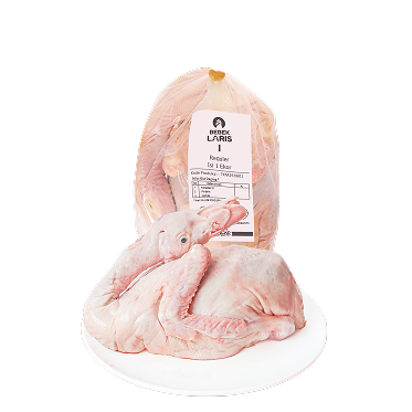 Bebek Peking Laris I