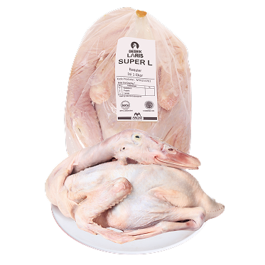 Bebek Peking Laris Super L